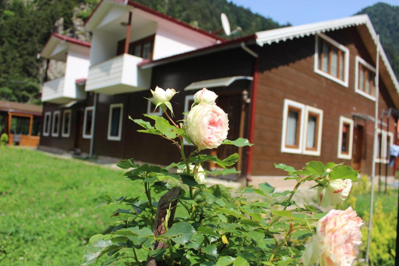 Uzungol Selale Otel Bungalow Extérieur photo