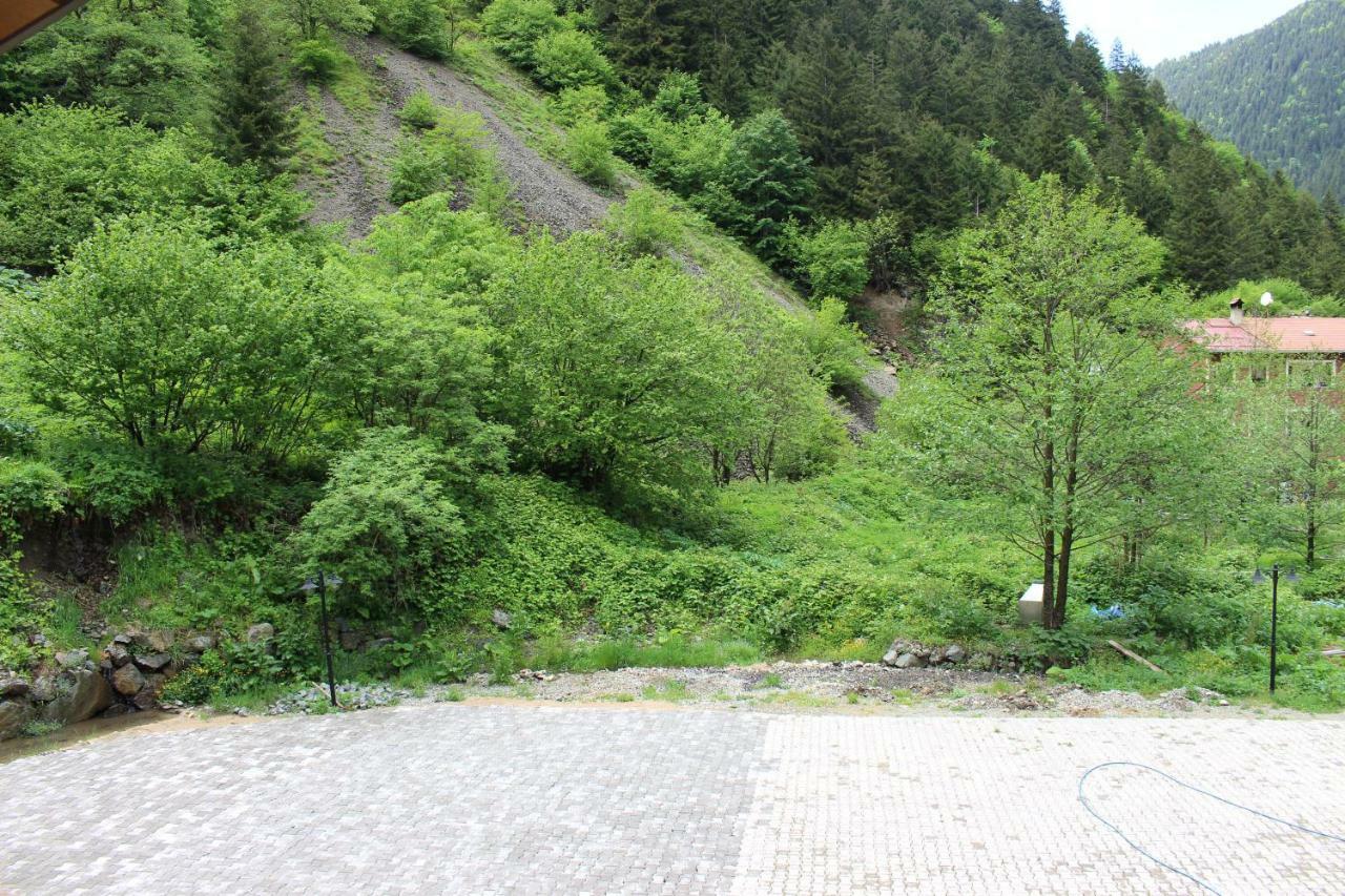Uzungol Selale Otel Bungalow Extérieur photo